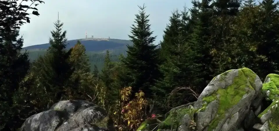 Haus Dümling - Braunlage im Harz