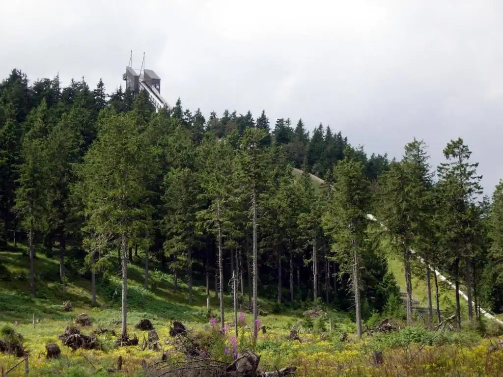 Haus Dümling – Braunlage im Harz Haus Dümling - Braunlage im Harz