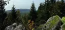 Haus Dümling - Braunlage im Harz